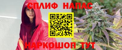 мяу мяу мука Краснознаменск