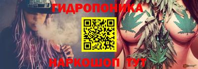 трава Краснодар