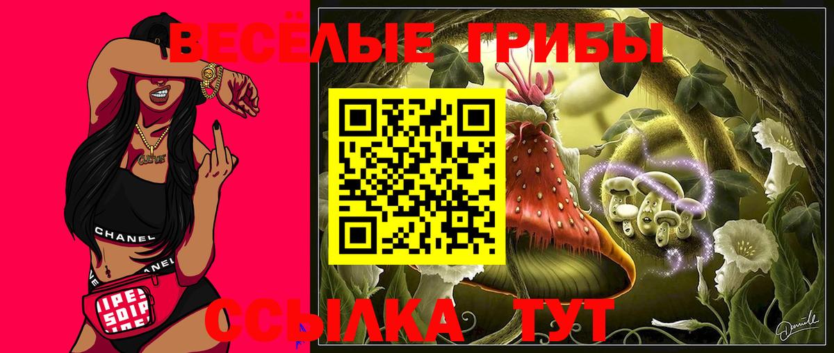 Галлюциногенные грибы Psilocybine cubensis Донецк