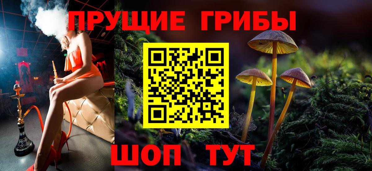 Псилоцибиновые грибы Cubensis  хочу наркоту  Донецк  Вход с VPN 